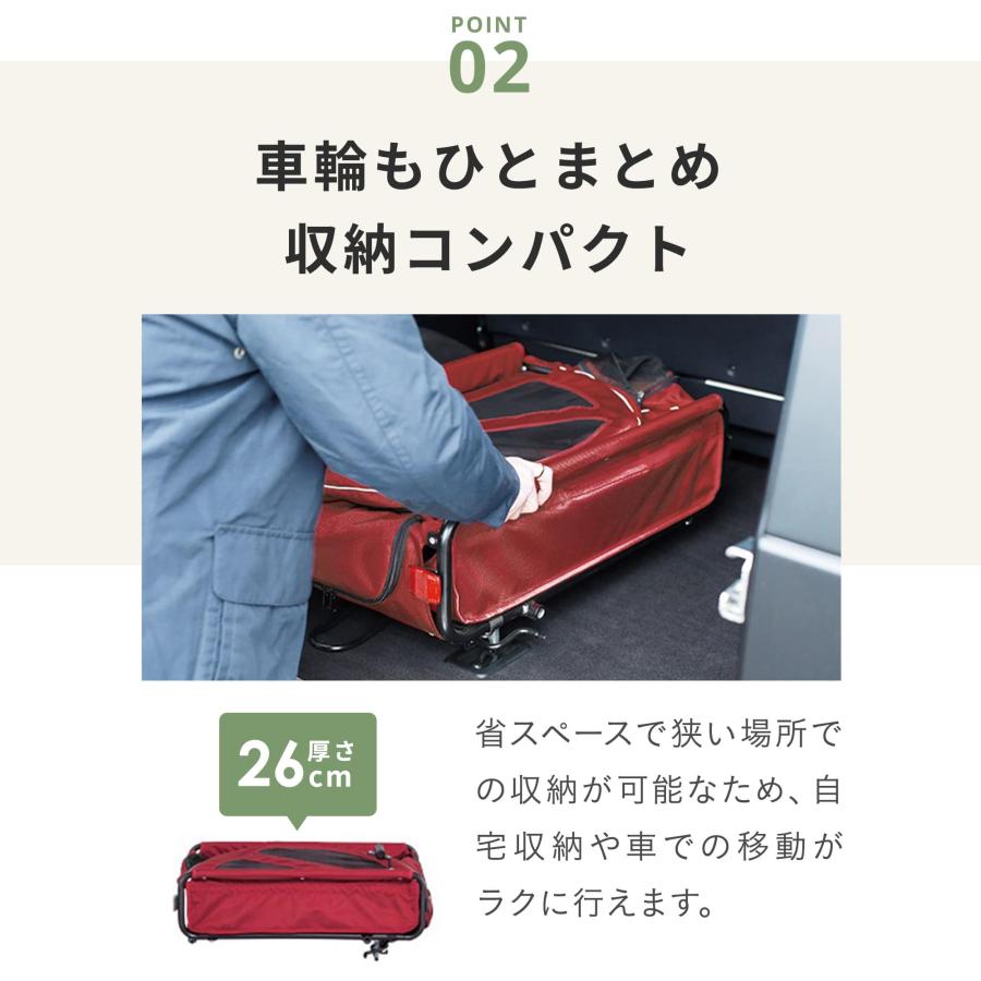 AIRBUGGY（エアバギー） 【公式】エアバギー トゥインクル AIRBUGGY