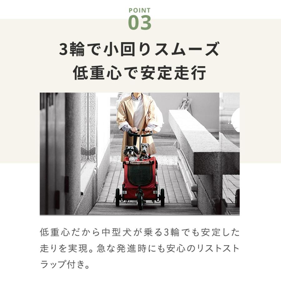 AIRBUGGY（エアバギー） 【公式】新色 トゥインクル AIRBUGGY TWINKLE 