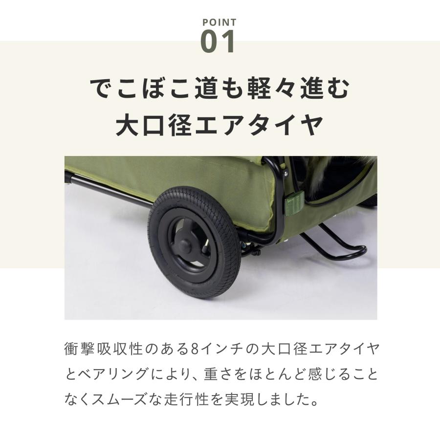 AIRBUGGY（エアバギー） 【公式】新色 トゥインクル AIRBUGGY TWINKLE