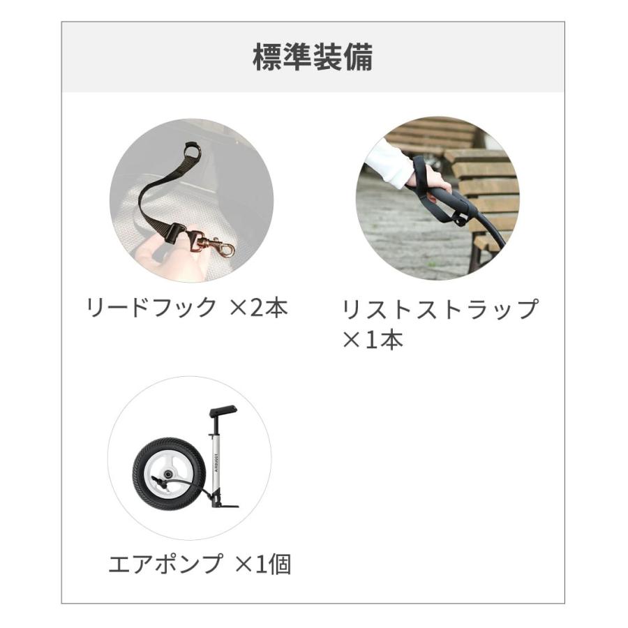 AIRBUGGY（エアバギー） 【公式】新色 トゥインクル AIRBUGGY TWINKLE