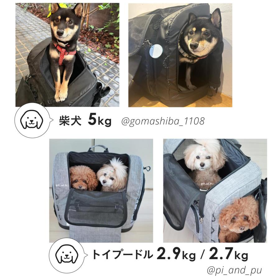 AIRBUGGY（エアバギー） 【公式】エアバギー 犬 リュック ペット