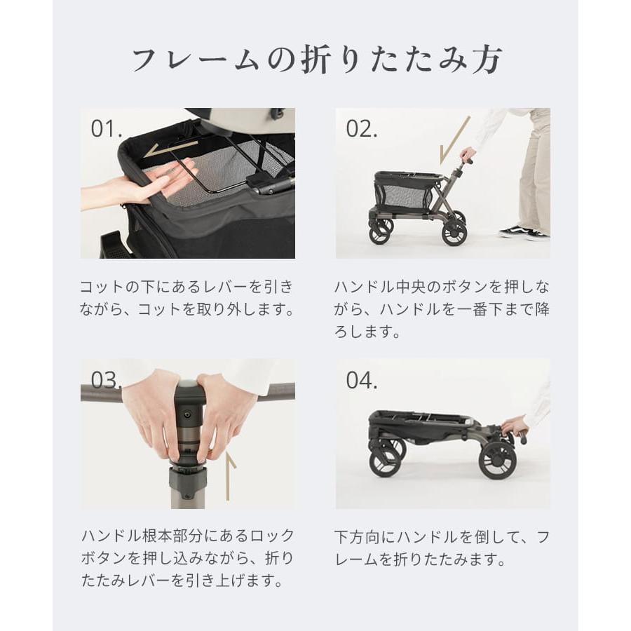 FITT 【公式】エアバギー ウィズ エックス AIRBUGGY WIZ X 耐荷重12kg