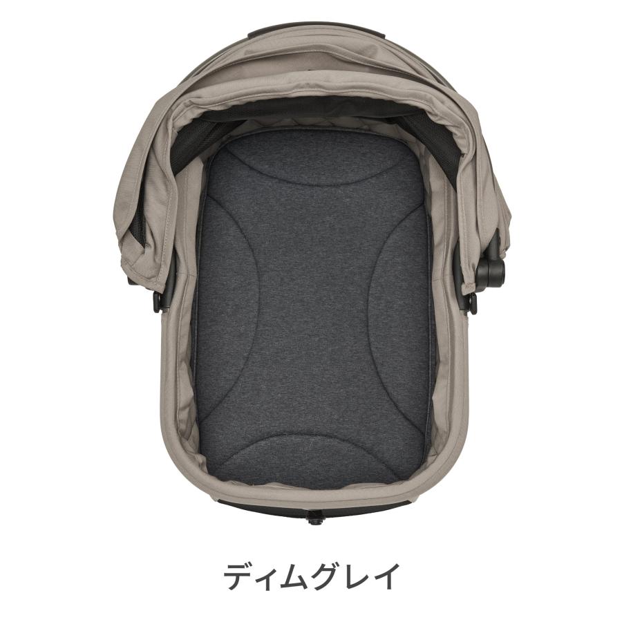 AIRBUGGY（エアバギー） ウィズ エックス専用 ウィズX マット