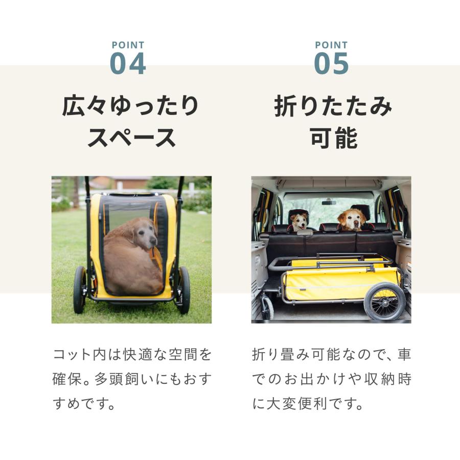 AIRBUGGY（エアバギー） 【公式】新色 キャリッジ 2点セット[台車