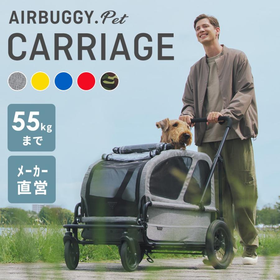 AIR BUGGY エアバギー キャリッジ 2点セット 台車とルーフ AIRBUGGY エアバギー キャリッジ 2点セット[台車・ルーフ