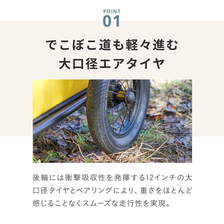 AIRBUGGY（エアバギー） キャリッジ 2点セット[台車・ルーフ] AIRBUGGY