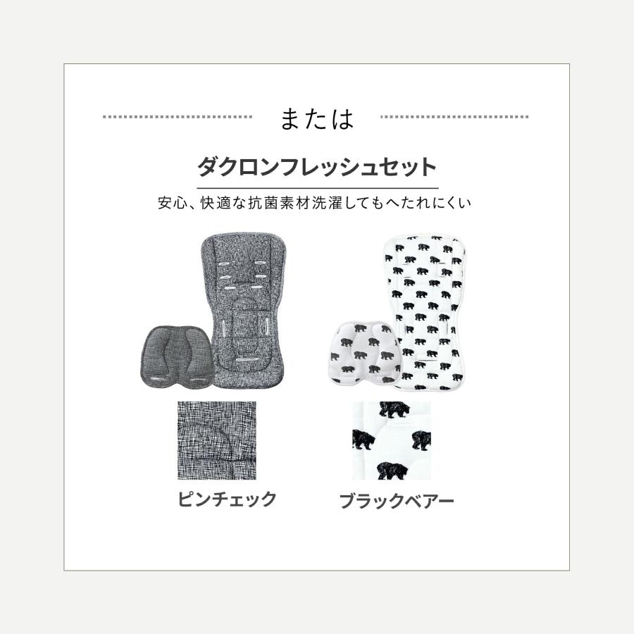 【公式】エアバギー ココプレミア フロムバース [ディムグレーセット] カラートータルコーディネート 新生児 ベビーカーの画像