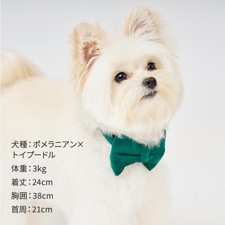 MANDARINE BROTHERS（マンダリンブラザーズ） ボウタイ 犬 蝶ネクタイ