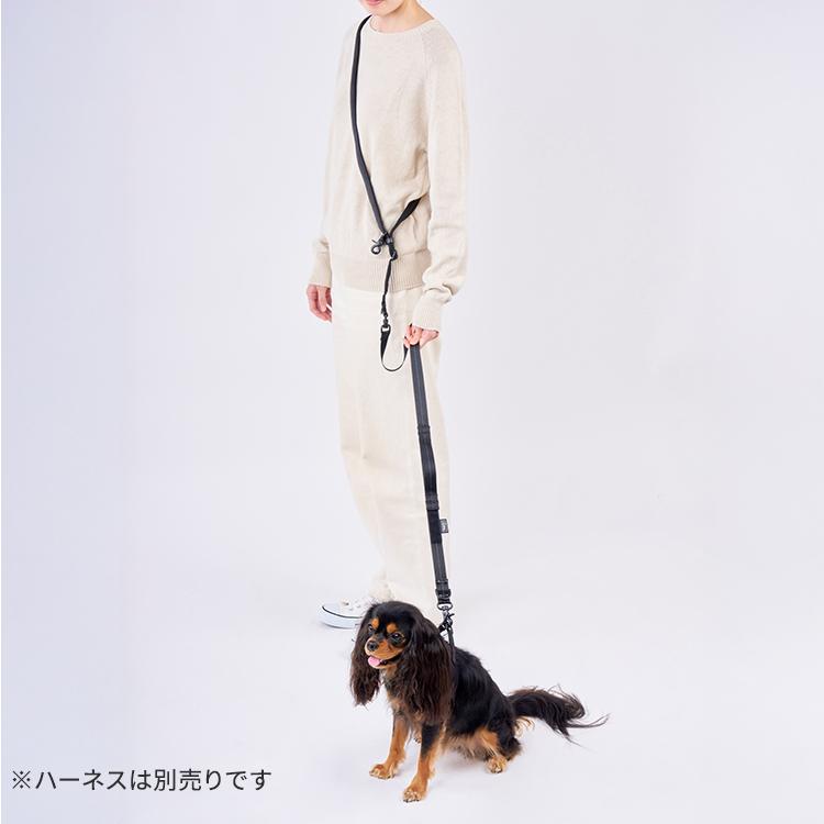 MANDARINE BROTHERS（マンダリンブラザーズ） ハンズフリーリード 犬