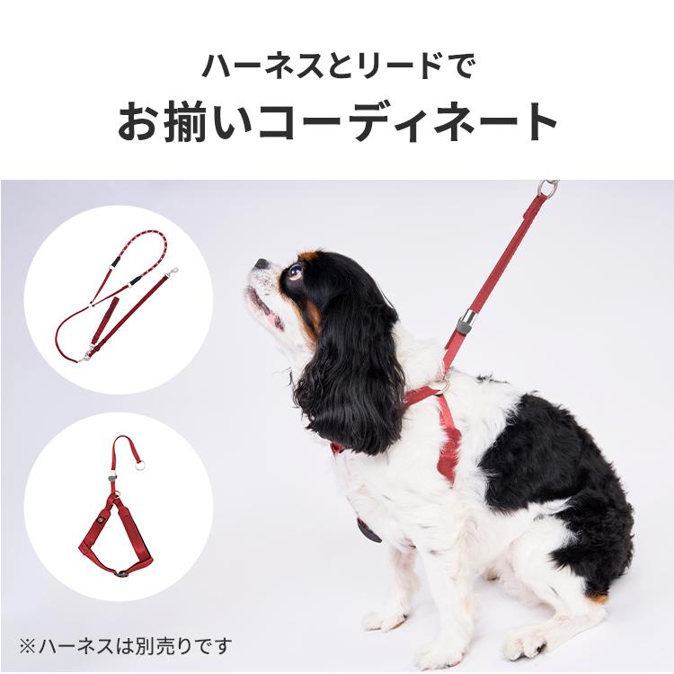 MANDARINE BROTHERS（マンダリンブラザーズ） ハンズフリーリード 犬