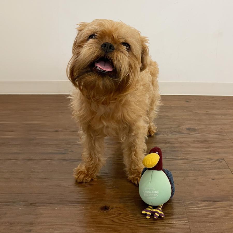 MANDARINE BROTHERS（マンダリンブラザーズ） 犬用おもちゃ まるまる