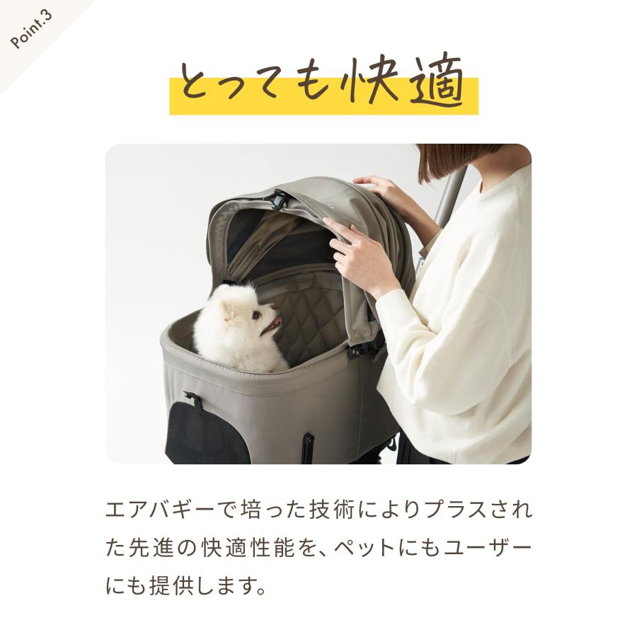 FITT ＼マットセット／【公式】2026新色 エアバギー ウィズ エックス