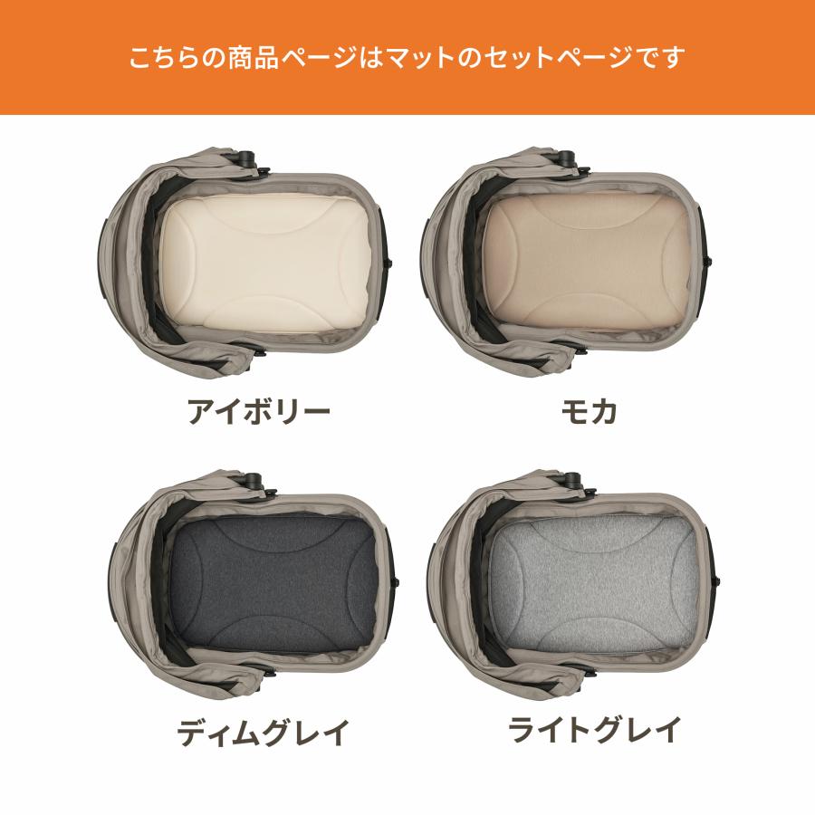 FITT ＼マットセット／【公式】2026新色 エアバギー ウィズ エックス