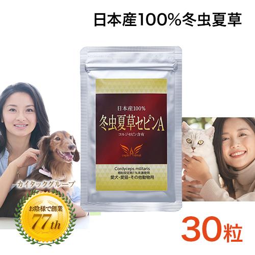 冬虫夏草 サプリメント 犬 猫 サプリ セピンA ペット 日本産 日本産100