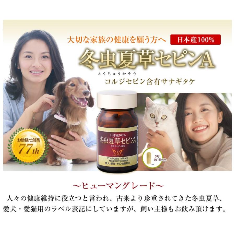 冬虫夏草 サプリメント 犬 猫 サプリ セピンA ペット 日本産 日本産100