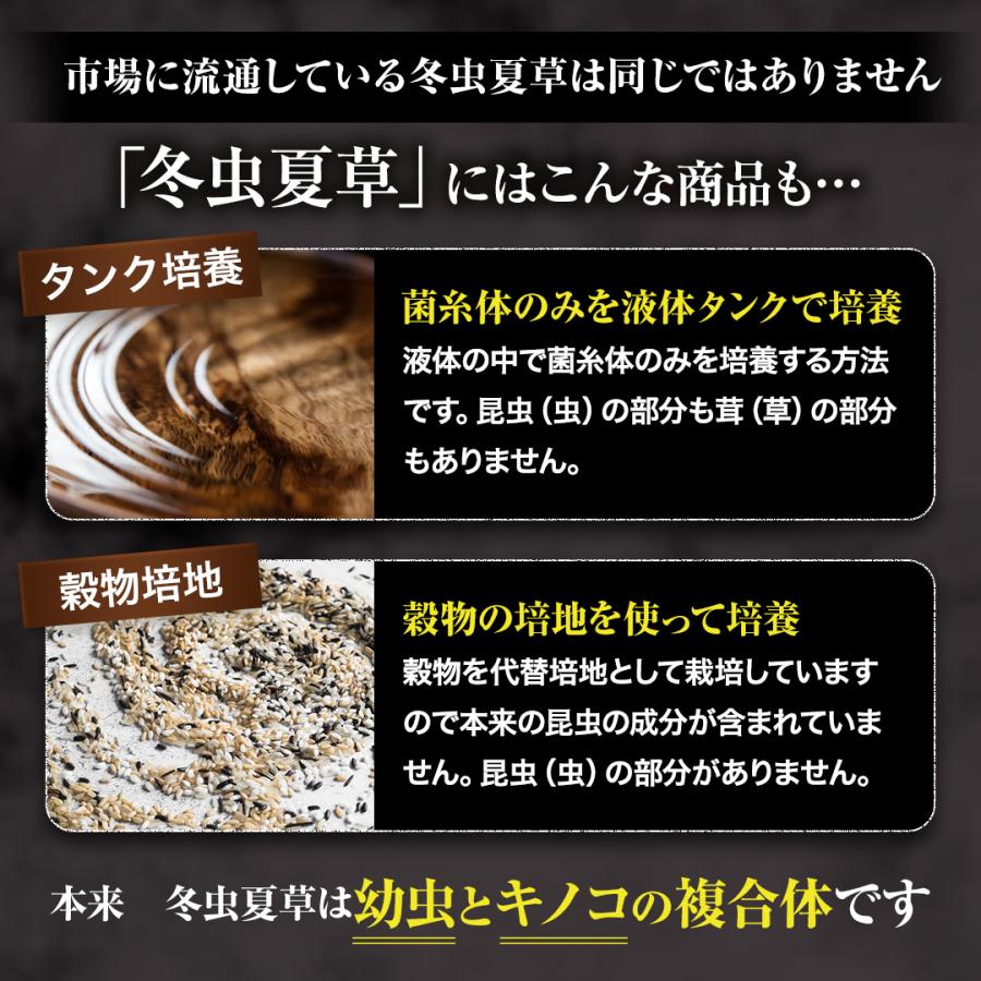 冬虫夏草 サプリメント 犬 猫 サプリ セピンA ペット 日本産 日本産100