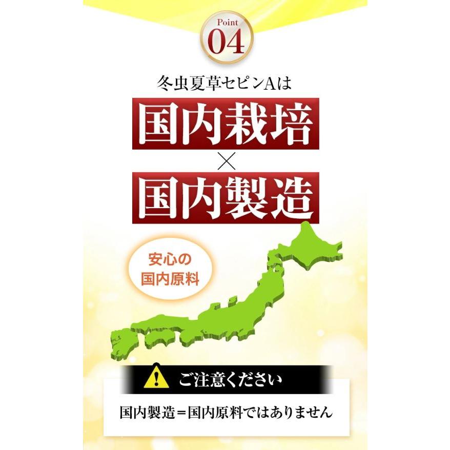 冬虫夏草 サプリメント 犬 猫 サプリ セピンA ペット 日本産 日本産100