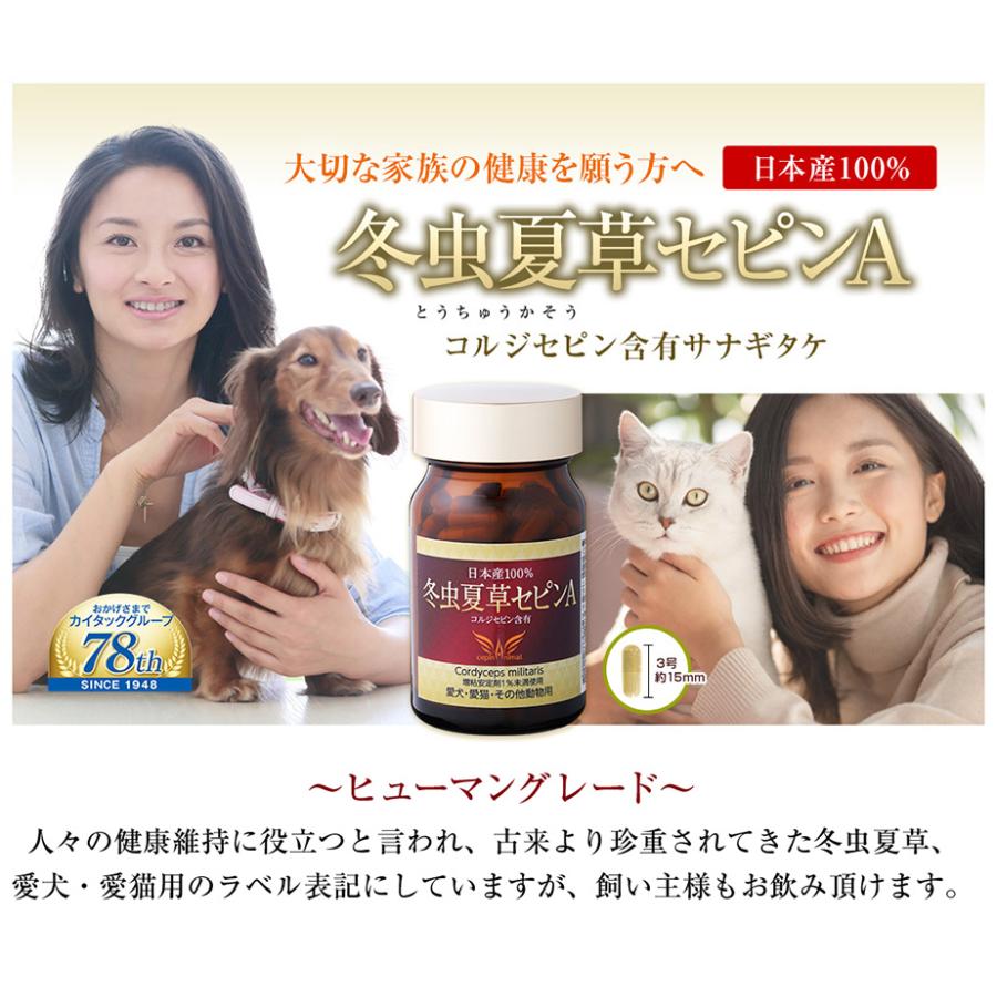 日本冬虫夏草　高濃度チャーガサプリメント 100% 360粒　新品未開封　3個 冬虫夏草 サプリメント 犬 猫 サプリ セピンA ペット 日本産 日本産100