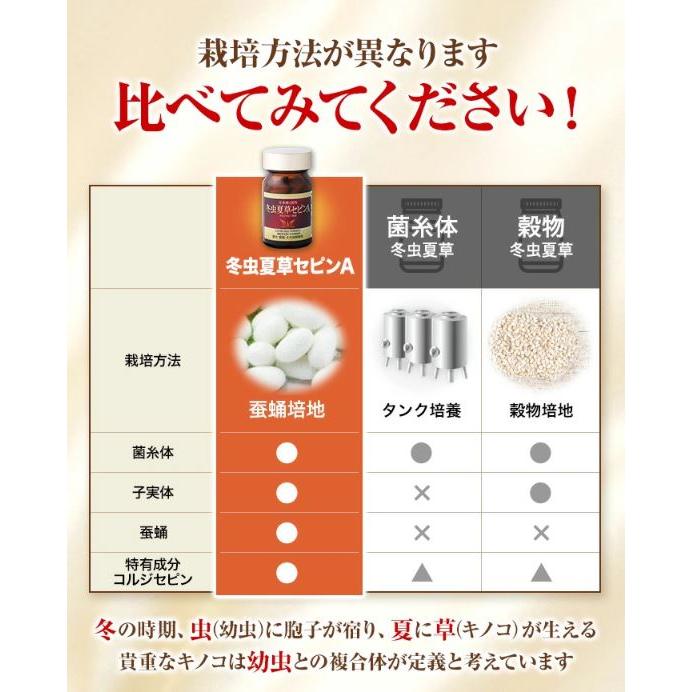 冬虫夏草 サプリメント 犬 猫 サプリ セピンA ペット 日本産 日本産100