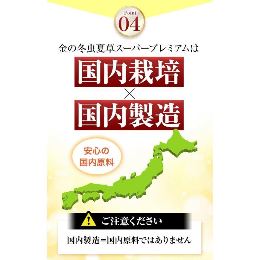 冬虫夏草 サプリメント 日本産 日本産100％ サナギタケ 金の冬虫夏草