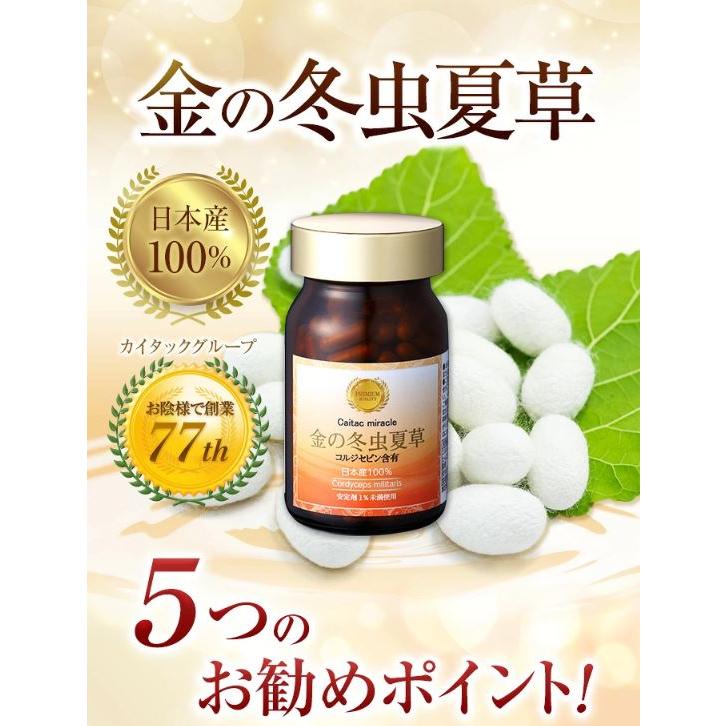 冬虫夏草 サプリメント 日本産 日本産100％ サナギタケ 金の冬虫夏草