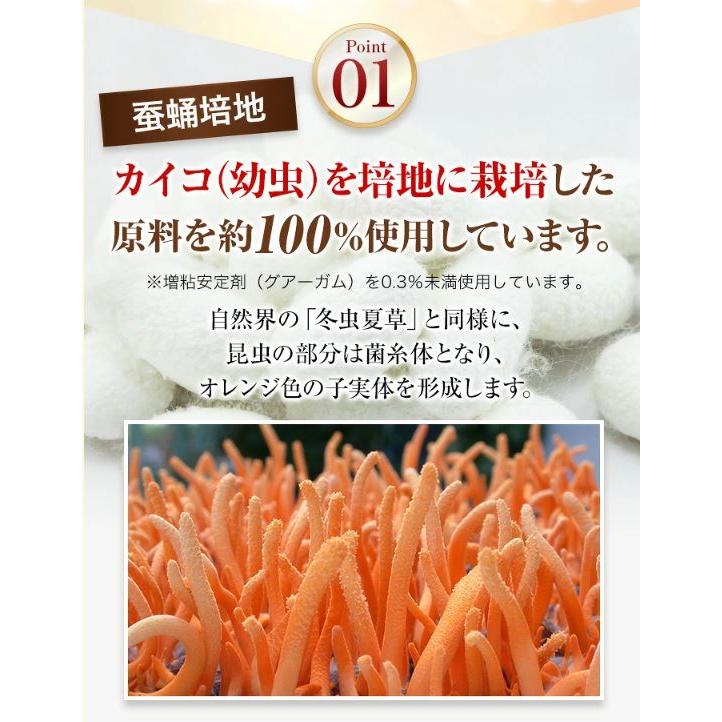 冬虫夏草 サプリメント 日本産 日本産100％ サナギタケ 金の冬虫夏草