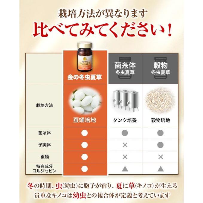 冬虫夏草 サプリメント 日本産 日本産100％ サナギタケ 金の冬虫夏草