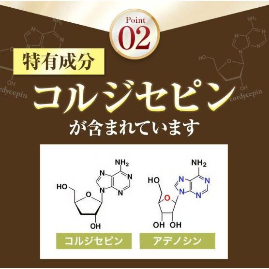 冬虫夏草 サプリメント 日本産 日本産100％ サナギタケ 金の冬虫夏草