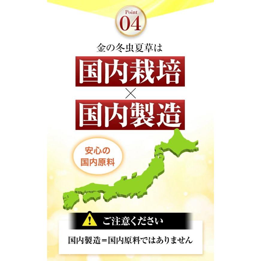 冬虫夏草 サプリメント 日本産 日本産100％ サナギタケ 金の冬虫夏草