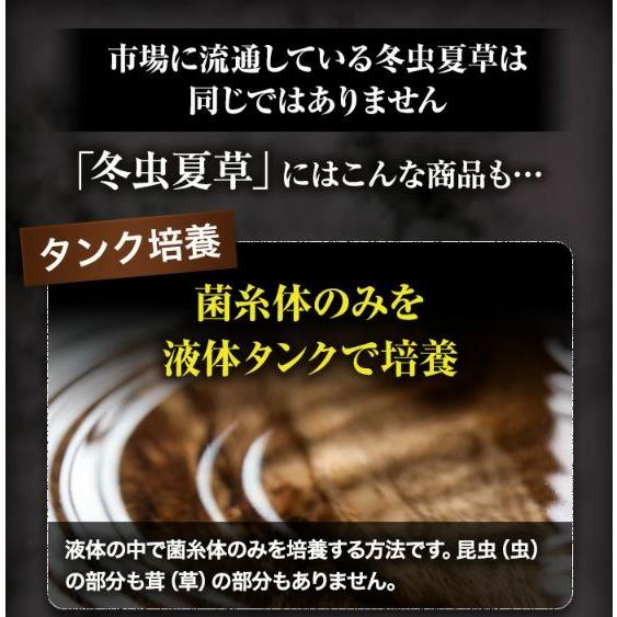 冬虫夏草 サプリメント 日本産 日本産100％ サナギタケ 金の冬虫夏草