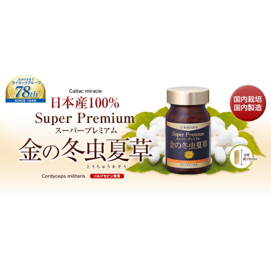 冬虫夏草 サプリメント 日本産 日本産100％ サナギタケ 金の冬虫夏草