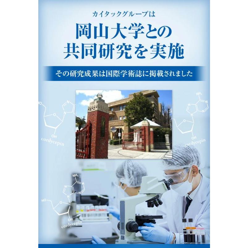 冬虫夏草 サプリメント 日本産 日本産100％ サナギタケ 金の冬虫夏草