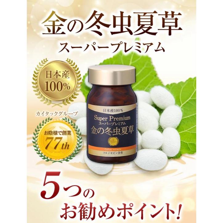 黄金養生ギフト用チベット高原産冬虫夏草菌糸ハードカプセル90粒 黄金養生ギフト用チベット高原産冬虫夏草菌糸ハードカプセル90粒