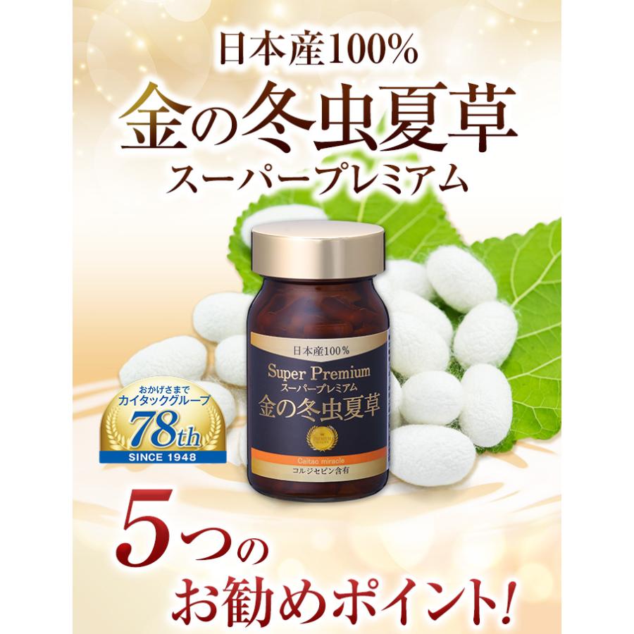 冬虫夏草 サプリメント 日本産 日本産100％ サナギタケ 金の冬虫夏草