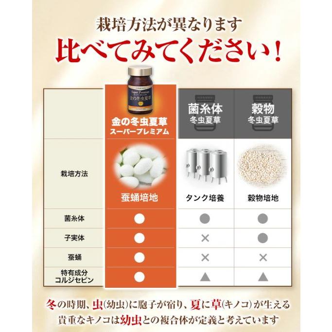 冬虫夏草 サプリメント 日本産 日本産100％ サナギタケ 金の冬虫夏草