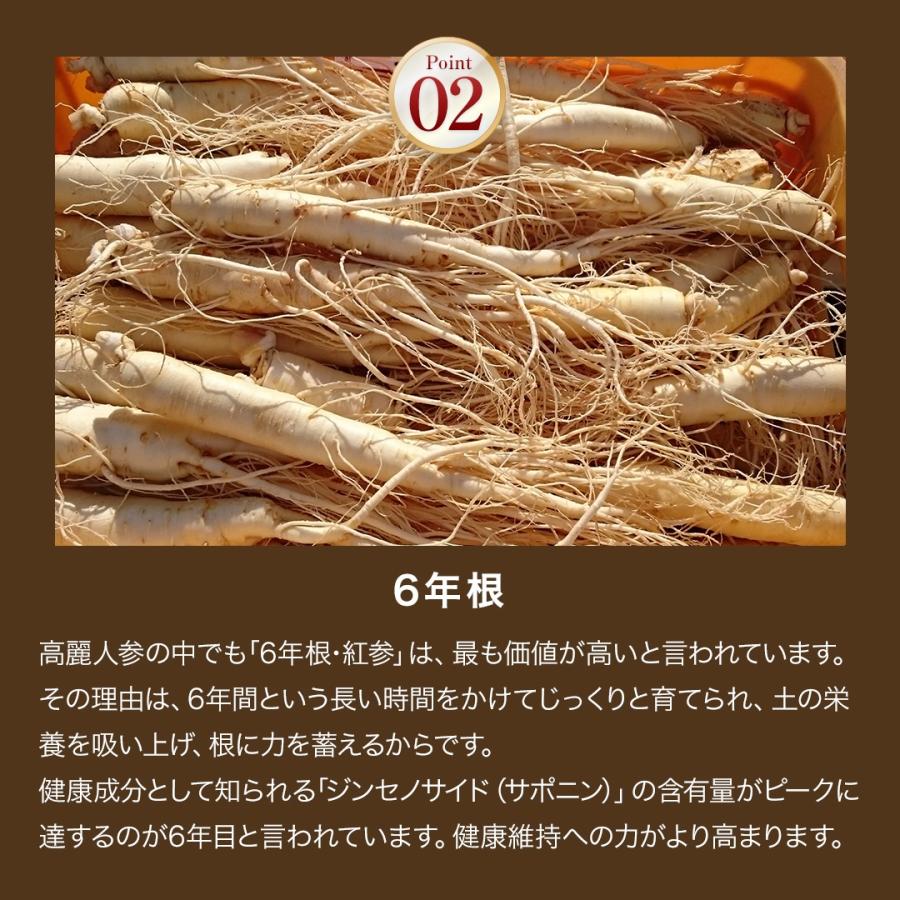 紅参 6年根 高麗人参 国産 日本産 サプリ サプリメント カイタック 90