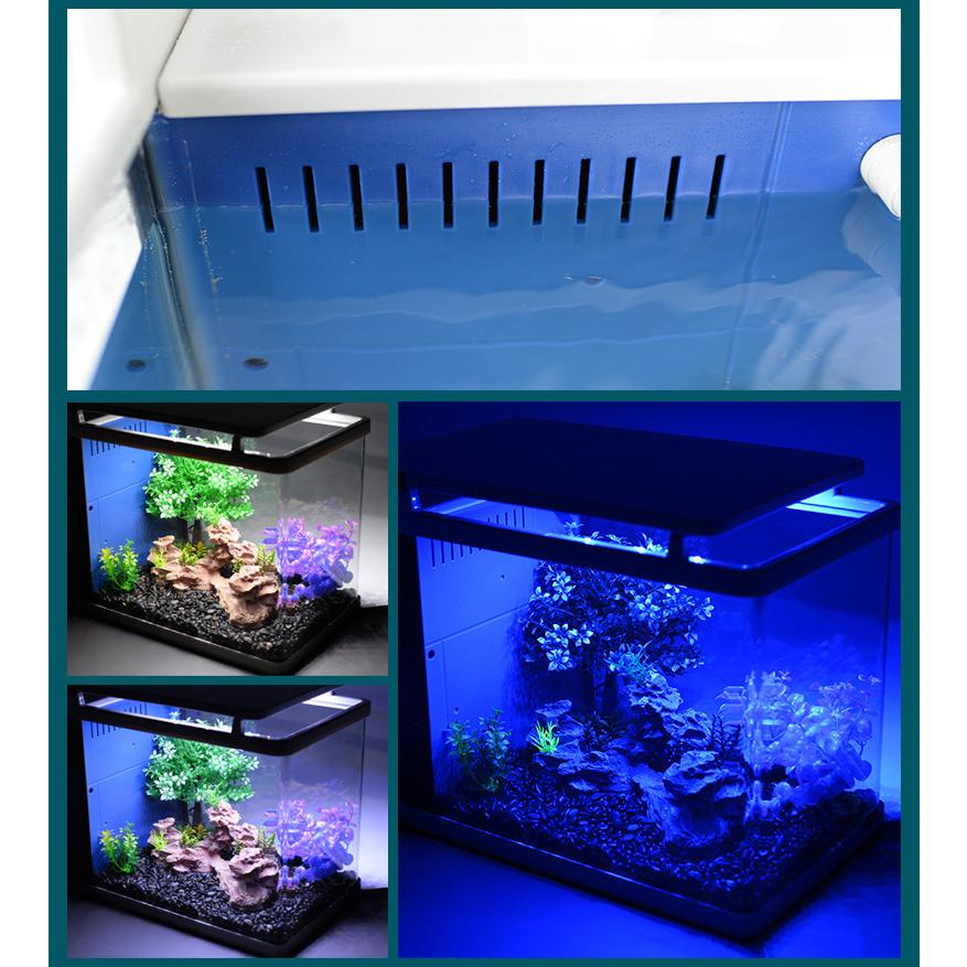 売れ筋がひ贈り物 水槽セット アクアリウム 家庭用 19l 観賞魚飼育セット 水槽セット アクアリウム 観賞魚飼育セット フ エアーポンプ ３つ照明モード Ledライト タッチスクリーン グラス アクアポニックス 家庭用 19l 水槽 Minuto Mx