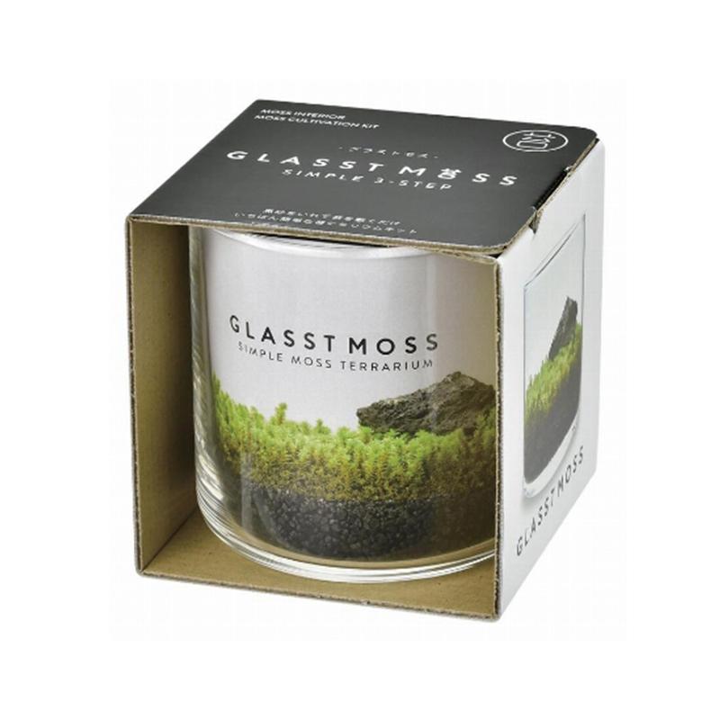 ギフトショップ Anniversary World受発注対象商品 グラストモスl 苔 栽培 栽培キット 家庭菜園 苔テラリウム テラリウム コケリウム インテリア インテリア雑貨 かわいい プチギフト ギフト ブランド品専門の