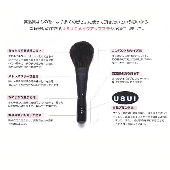 Usui神戸発 プロが愛用 ブラシ ケース 収納 使いやすい 在庫一掃sale M便 1 6 ギフトショップ Anniversary World 通販 Yahoo ショッピング