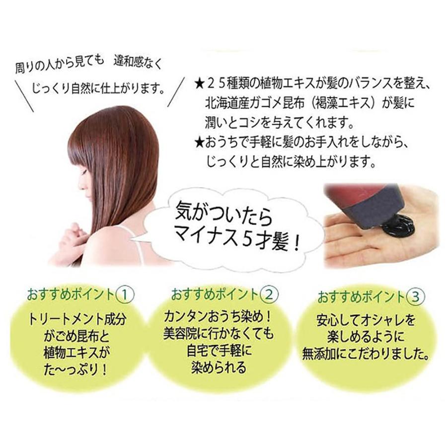 在庫限り] ヘアカラートリートメント マーメイドヘア 天然成分