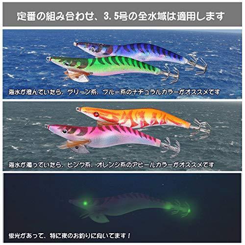 Colorgo エギ イカ釣りセット エギング ルアー セット 夜光浮きスッテ 爆釣り イカ釣り用 イカタコ専用 エギケース付 2 5号 3号 激安ブランド