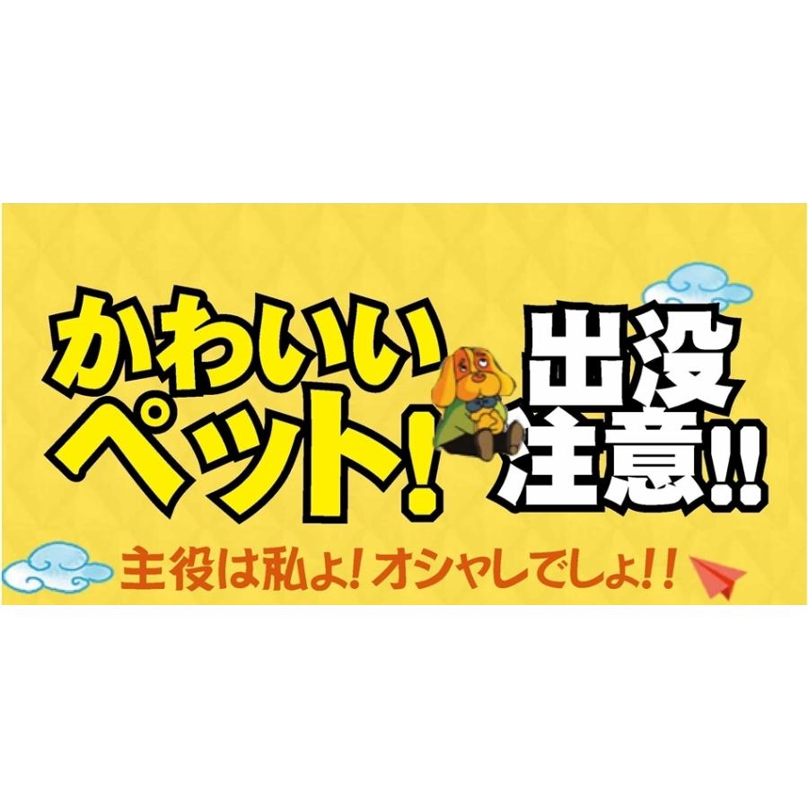 犬 ハーネス リード 猫 デニム おしゃれ ソフト 痛くない 可愛い 軽量 胴輪 通気性 お散歩 簡単 脱着 アウトレット｜airs-style｜05