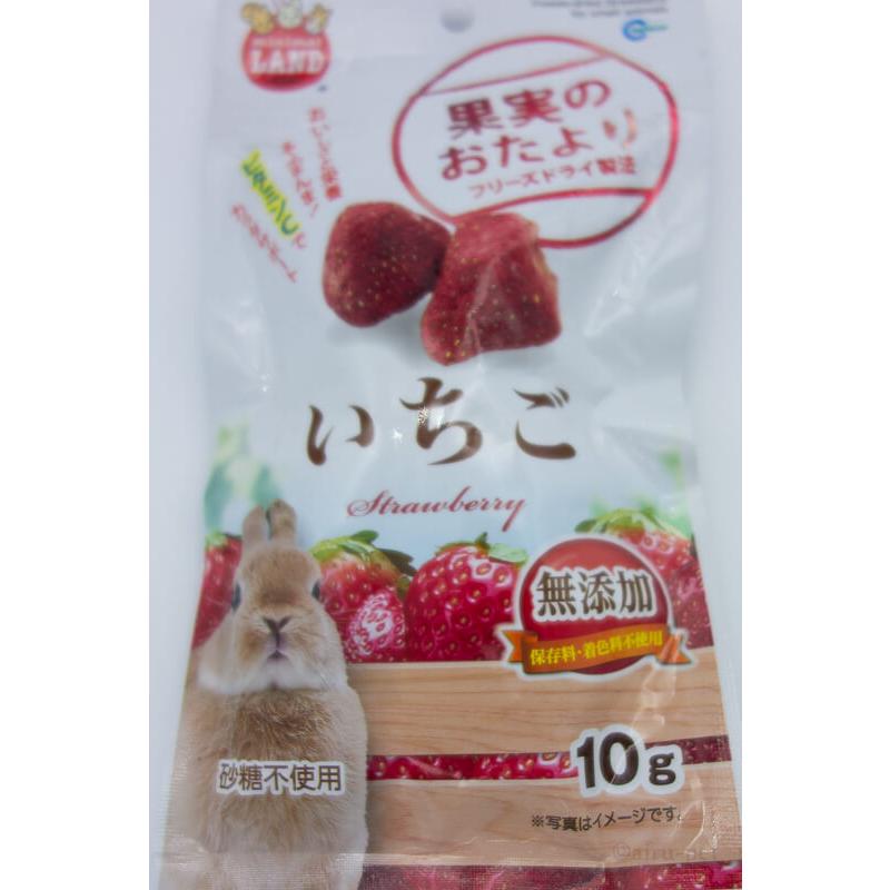 送料無料 マルカン 果実のおたより いちご １０袋セット(賞味期限2025.09以降) 送料込 marukan 北海道・沖縄・離島 別途送料｜airu-pet｜04