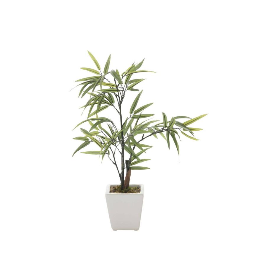 黒竹 238a30 W25 D25 H35cm 22年版 人工観葉植物 光の楽園 造花 フェイク リビング アートフラワー インテリアグリーン 3muwcivy4t Chicagocriminaldefenselawyersblog Com