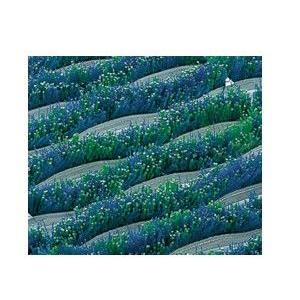 ユニクリーンマット(60cmx90cm) F-23-4 厚み約32mm スチール製 ユニクリーンマット(60cmx90cm) F-23-4 厚み約32mm スチール製