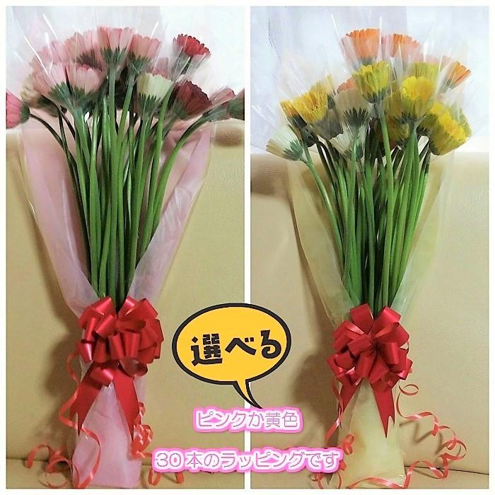 特別価格 母の日ギフト ガーベラ花束30本 長さ45ｃ以上 産地直送 母の日 誕生日 記念日のプレゼントに Wantannas Go Id