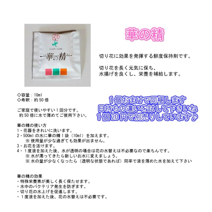 産地直送 ガーベラ1本70円 お好きな本数を花束に 卒業式 卒園式 母の日 誕生日 記念日のプレゼント イベントのギフトに 6 ガーベラ屋さん アイルとリリカ 通販 Yahoo ショッピング