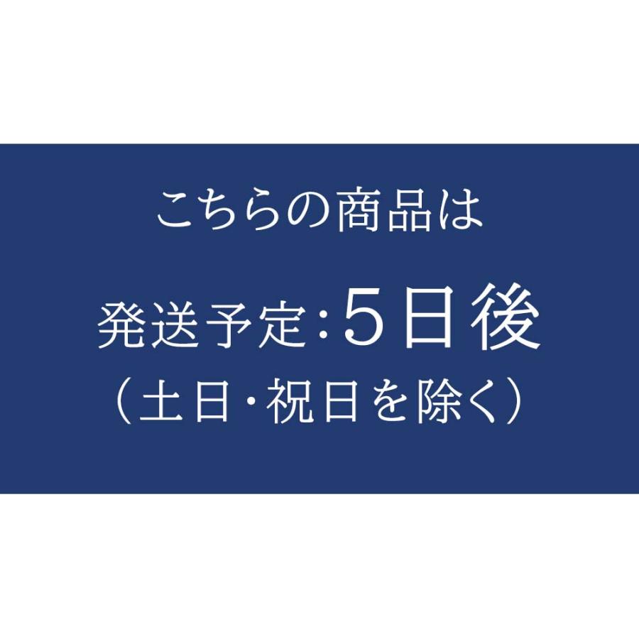 エアウィーヴ（airweave） 四季布団 和匠（わしょう）敷き布団