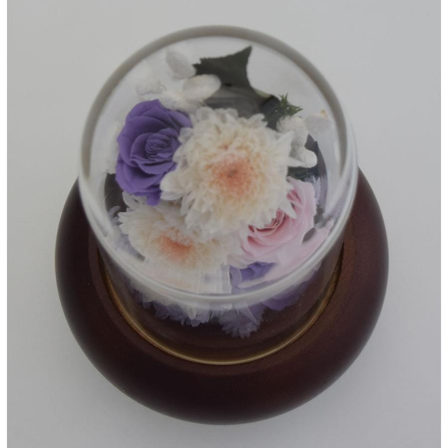 プリザーブドフラワー 仏花 ガラスドーム花器 薄紫のアスター(エゾギク