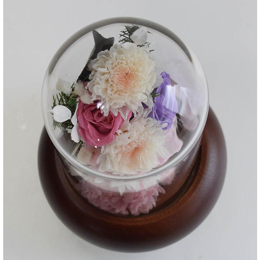 プリザーブドフラワー 仏花 ガラスドーム花器 紫 ピンク アスター